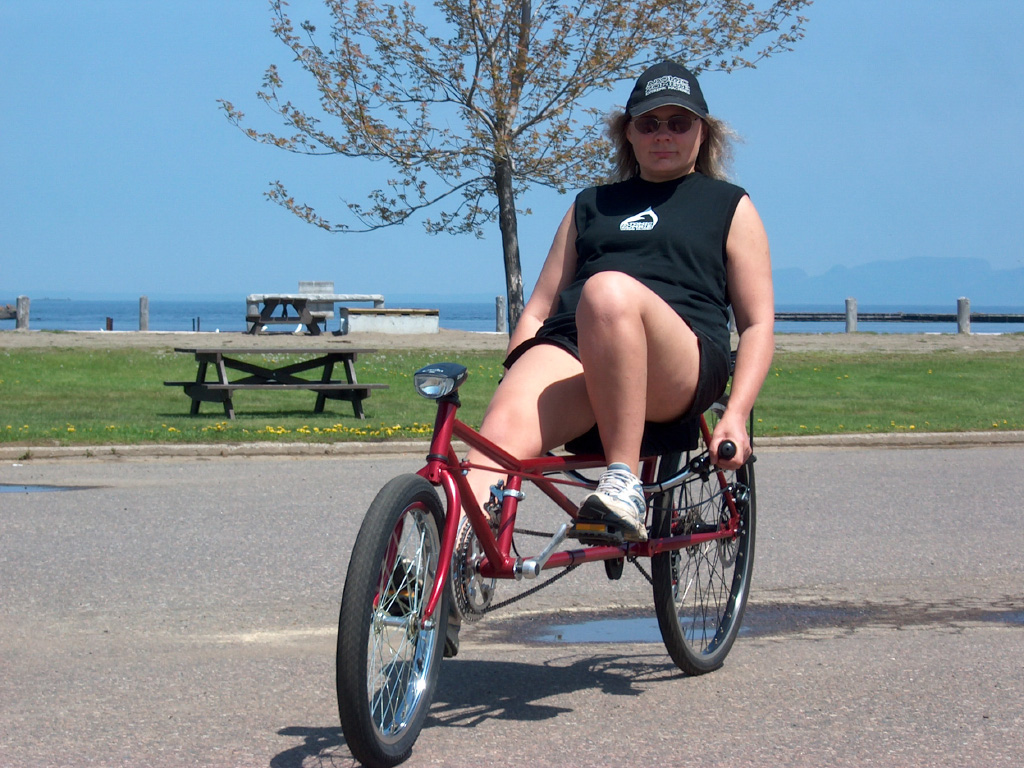 WildKat Recumbent Bike - recumbent plans